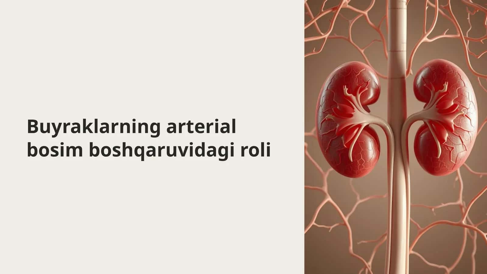 Buyraklarning arterial bosim boshqaruvidagi roli