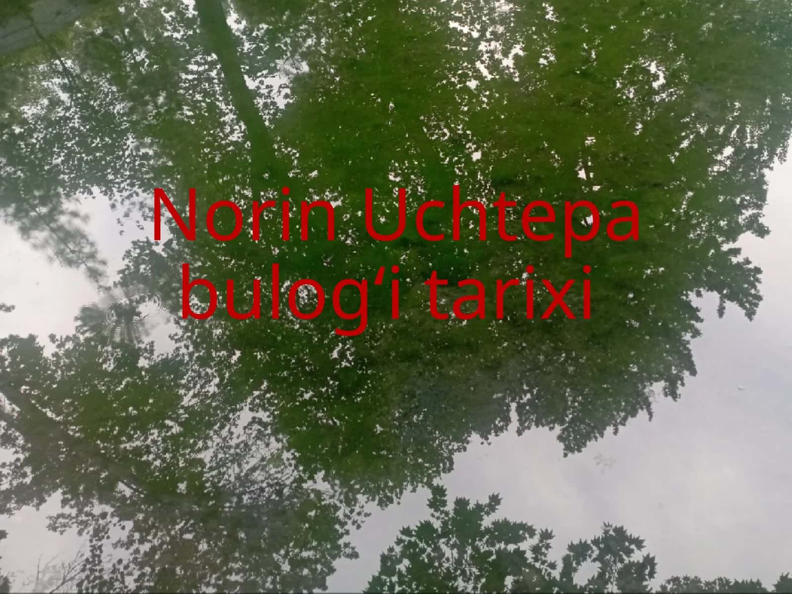 Norin Uchtepa bulogʻi tarixi
