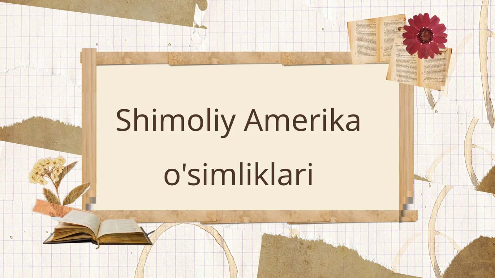 Shimoliy Amerika o'simliklari