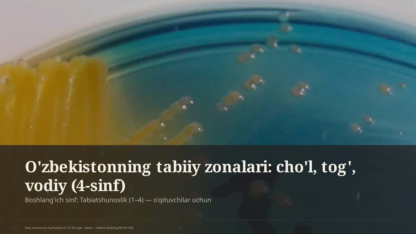 O'zbekistonning tabiiy zonalari: cho'l, tog', vodiy (4-sinf)