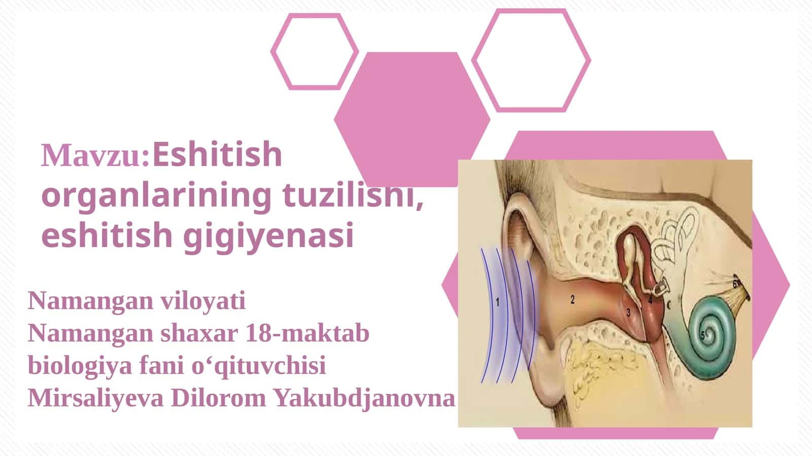 Eshtish organlarining tuzilishi, eshtish gigiyenasi