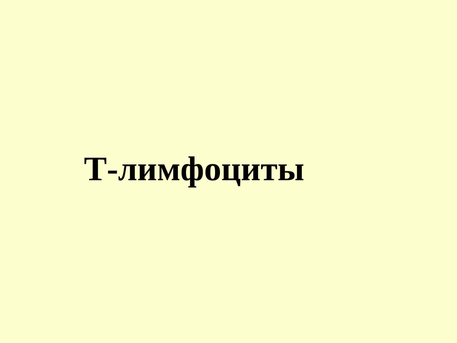 Т-лимфоциты