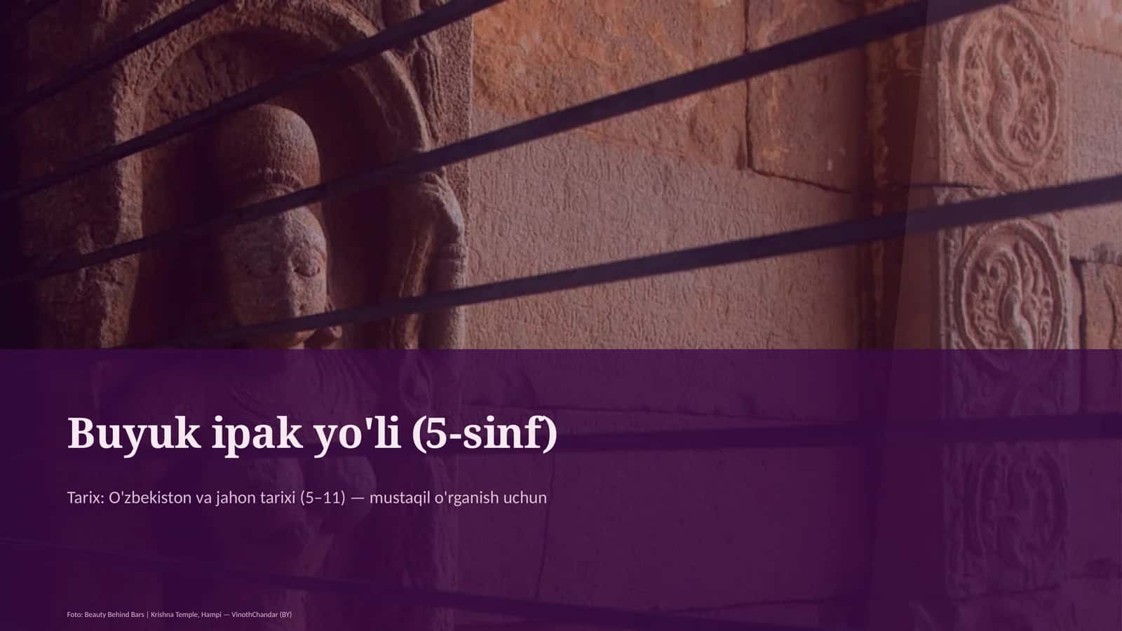 Buyuk ipak yo'li (5-sinf)