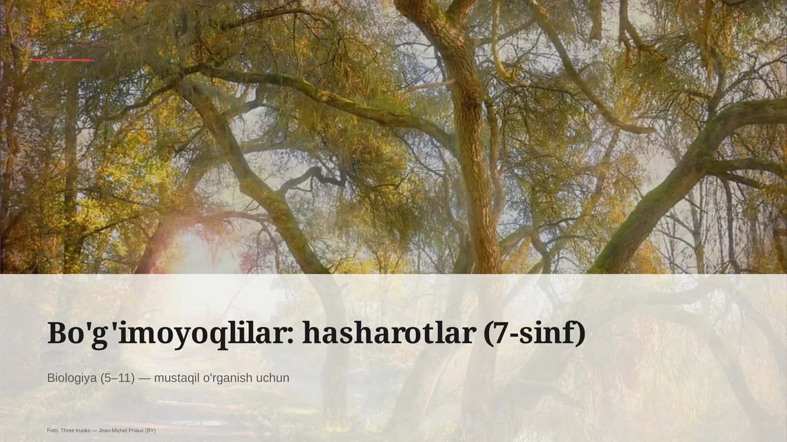 Bo'g'imoyoqlilar: hasharotlar (7-sinf)