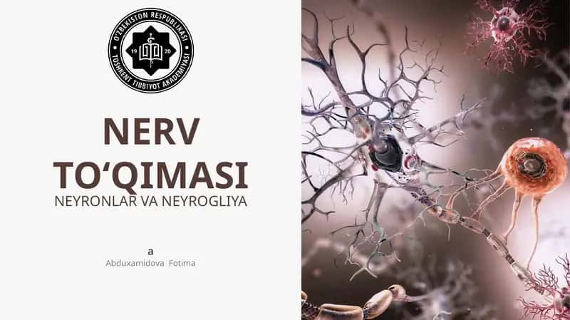 NERV TO‘QIMASI