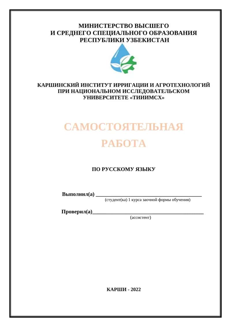 Самостоятельная работа по русскому языку