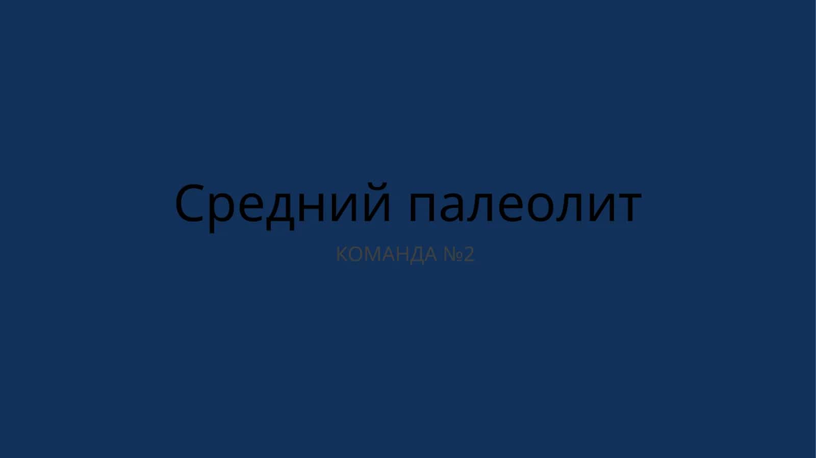 Средний палеолит