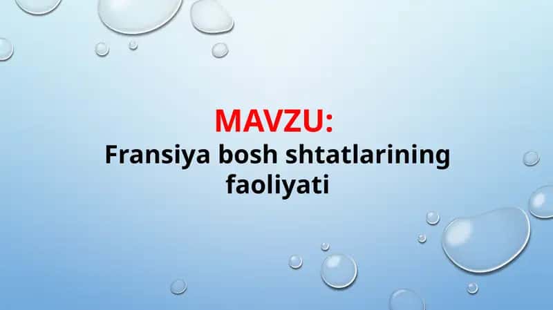 Fransiya bosh shtatlarining faoliyati (TAQDIMOT)