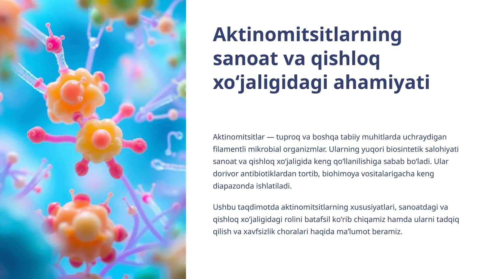 Aktinomitsitlarning sanoat va qishloq xoʻjaligidagi ahamiyati