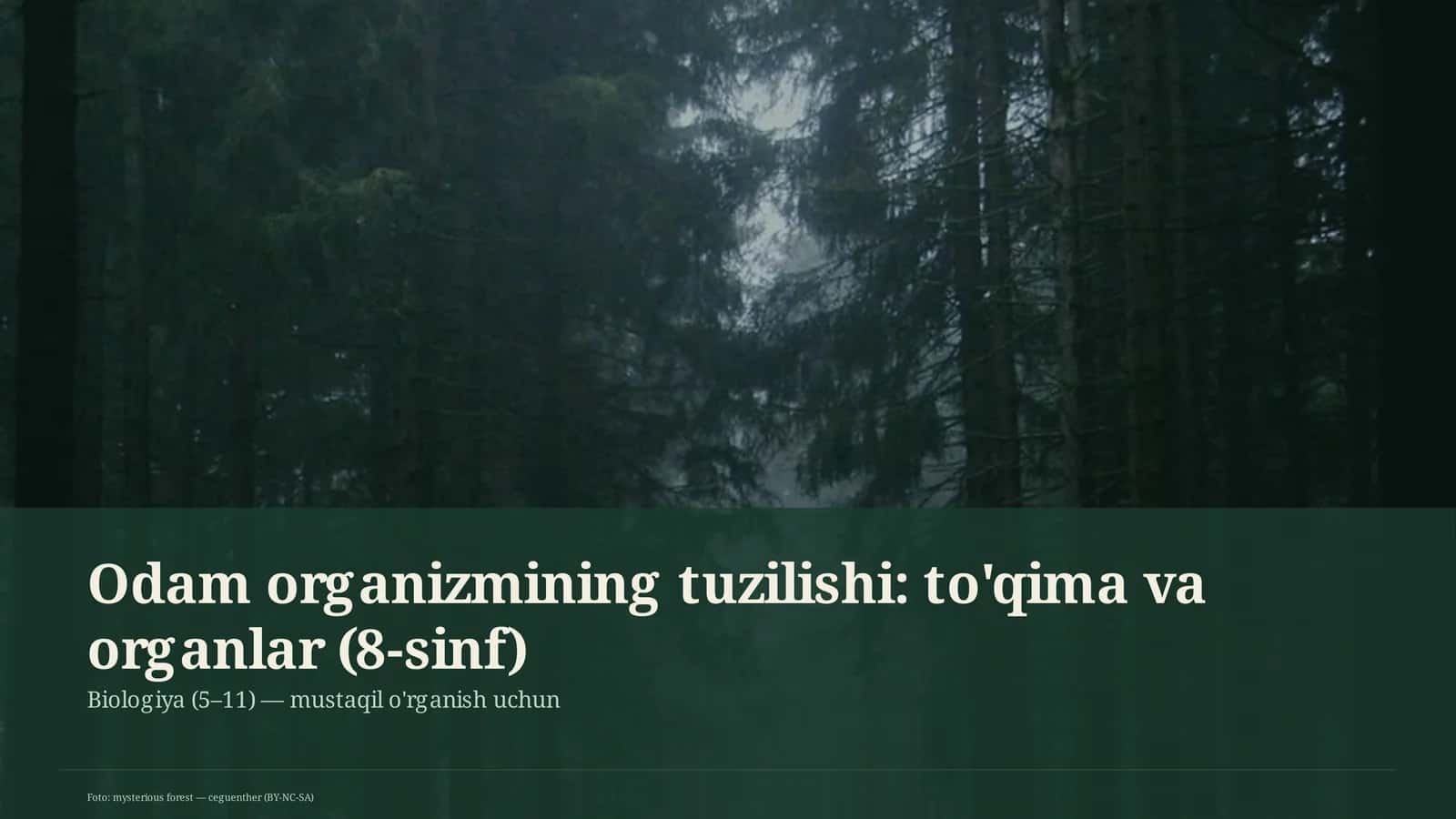Odam organizmining tuzilishi: to'qima va organlar (8-sinf)