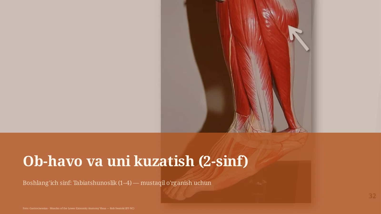 Ob-havo va uni kuzatish (2-sinf)