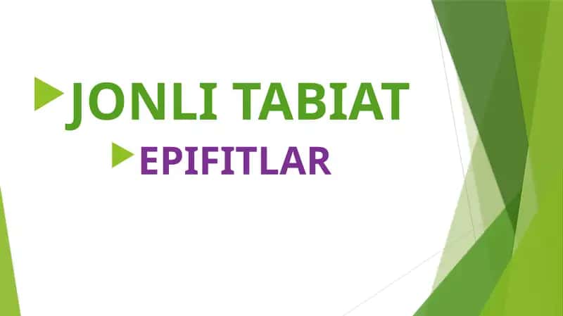 JONLI TABIAT