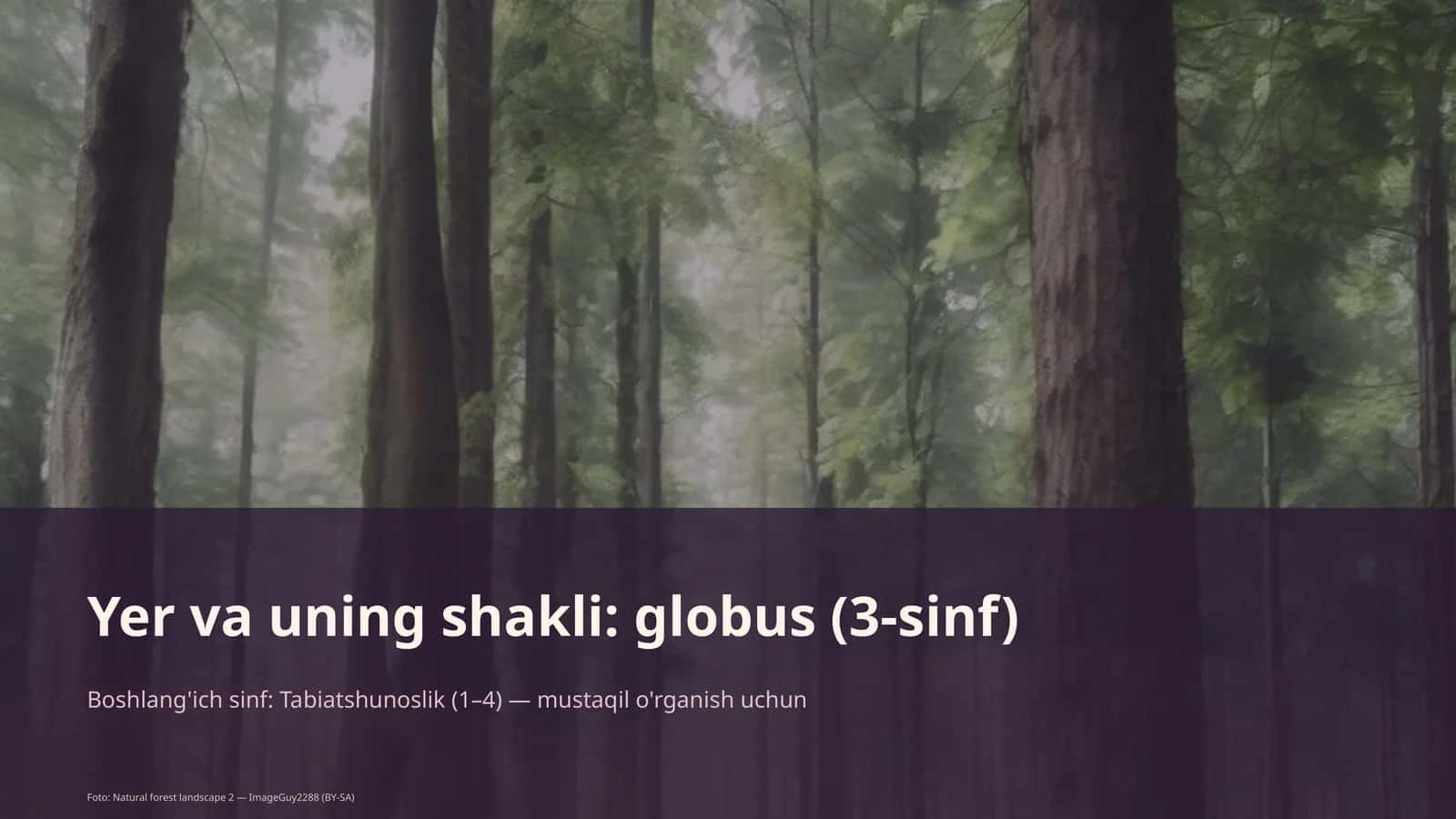 Yer va uning shakli: globus (3-sinf)