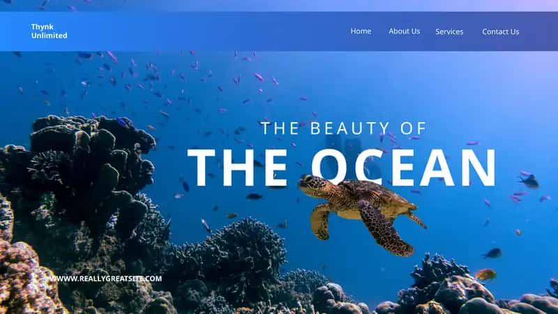 A MAGICAL WORLD BENEATH THE WAVES