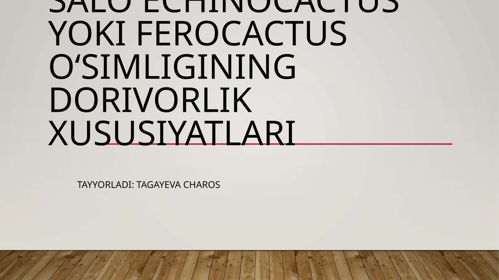 Salo Echinocactus yoki Ferocactus oʻsimligining dorivorlik xususiyatlari
