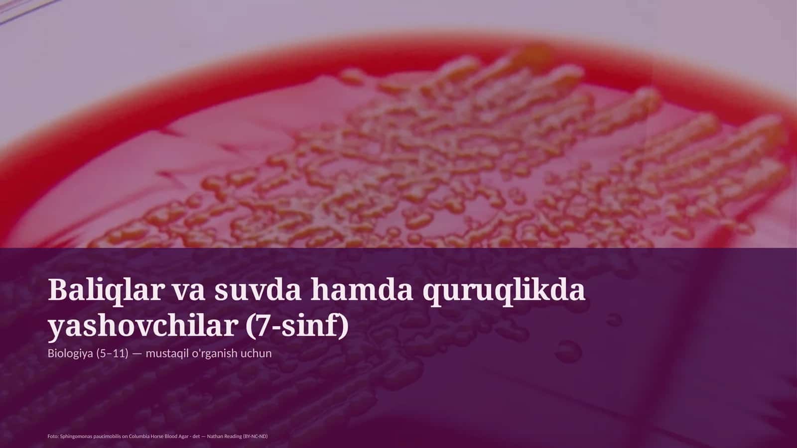 Baliqlar va suvda hamda quruqlikda yashovchilar (7-sinf)