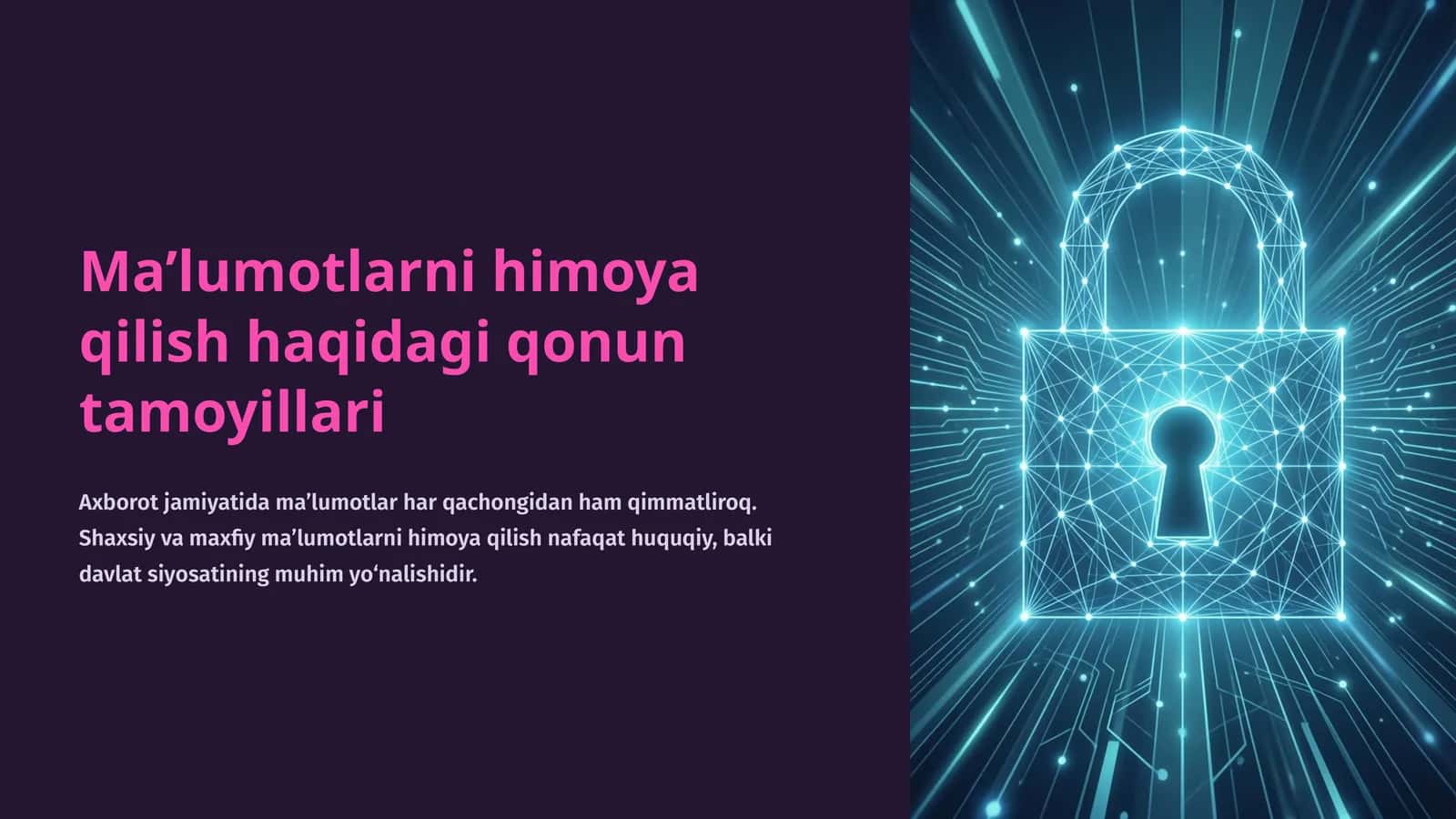 Ma’lumotlarni himoya qilish haqidagi qonun tamoyillari