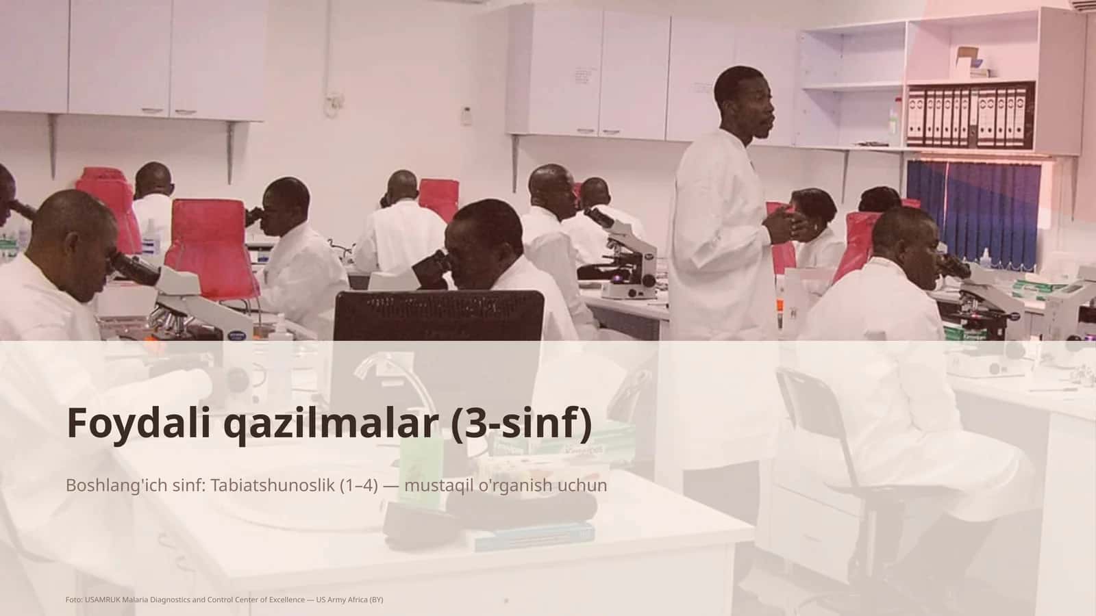 Foydali qazilmalar (3-sinf)