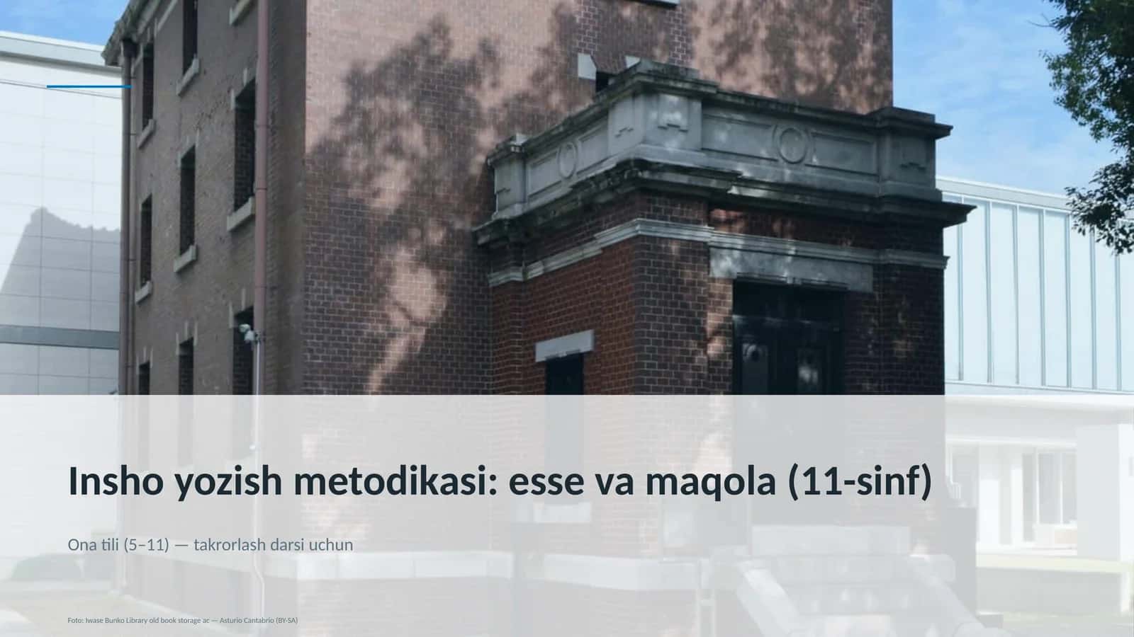 Insho yozish metodikasi: esse va maqola (11-sinf)