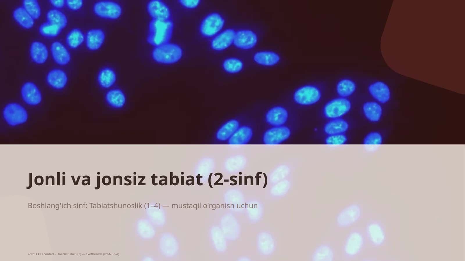 Jonli va jonsiz tabiat (2-sinf)