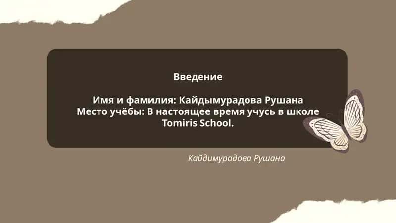 Введение