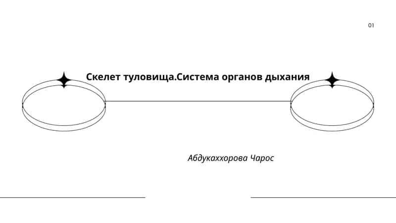 Скелет туловища.Система органов дыхания