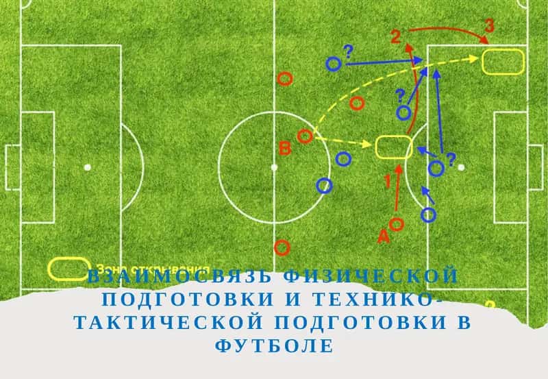 Взаимосвязь физической подготовки и технико-тактической подготовки в футболе