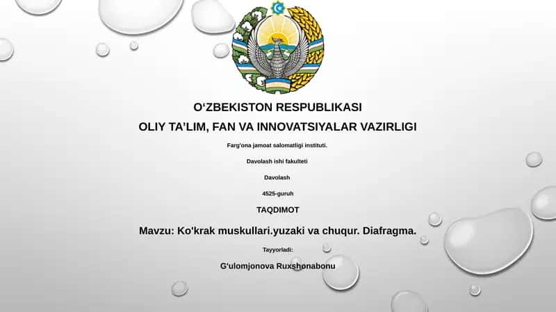 Ko'krak muskullari.yuzaki va chuqur. Diafragma
