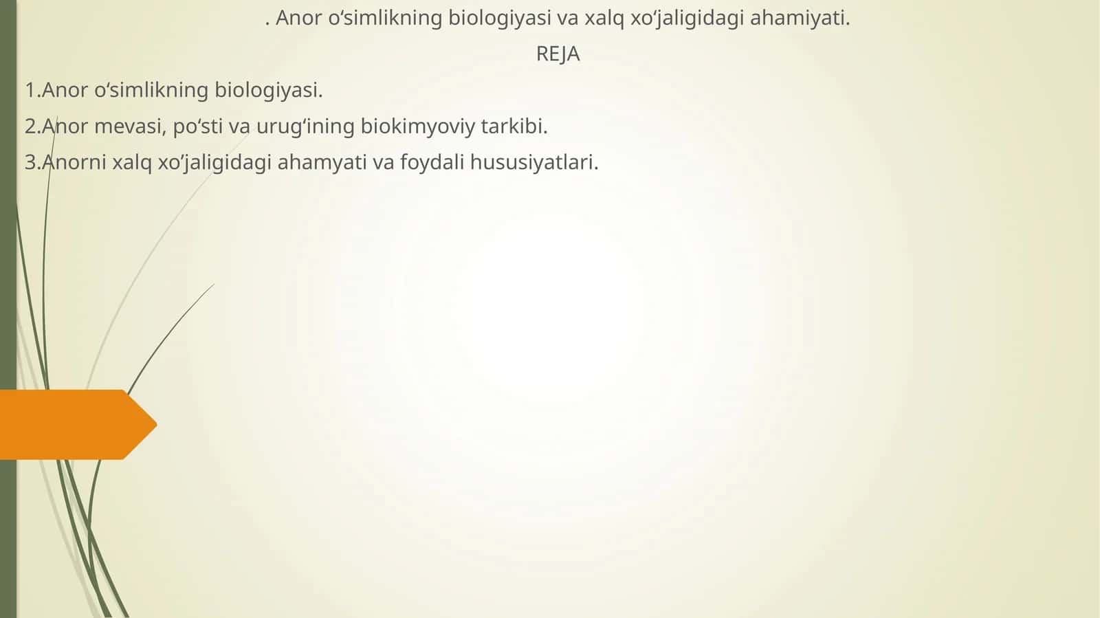 Anor o‘simlikning biologiyasi va xalq xo‘jaligidagi ahamiyati