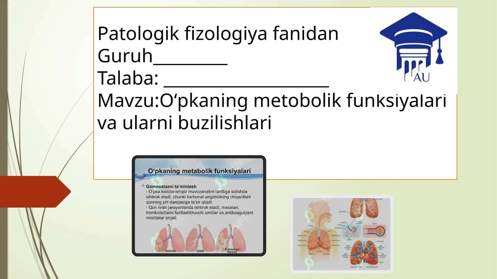 O‘pkaningmetobolikfunksiyalarivaularnibuzilishlari