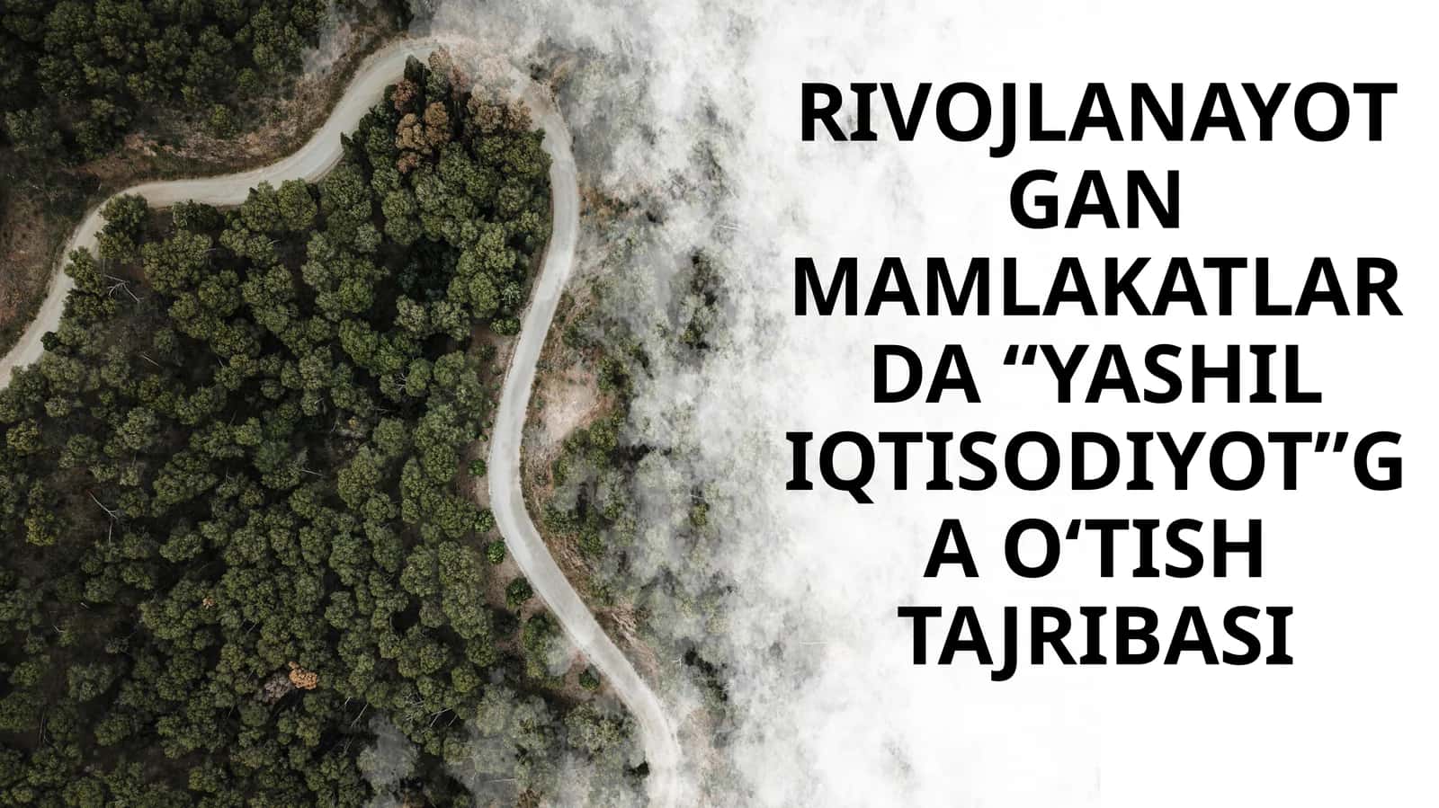 [RIVOJLANAYOTGANMAMLAKATLARDA “YASHIL IQTISODIYOT”GA O‘TISH TAJRIBASI]