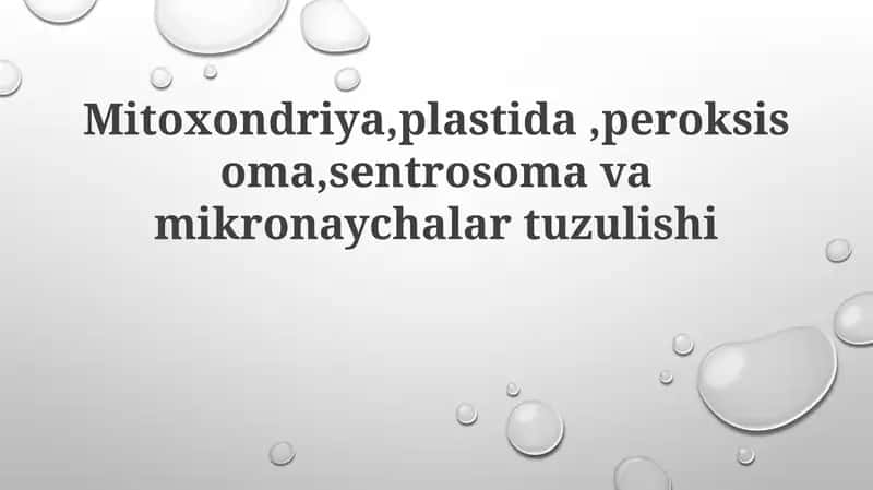 Mitoxondriya, Plastoidlar va Peroksisomalar tuzilishi