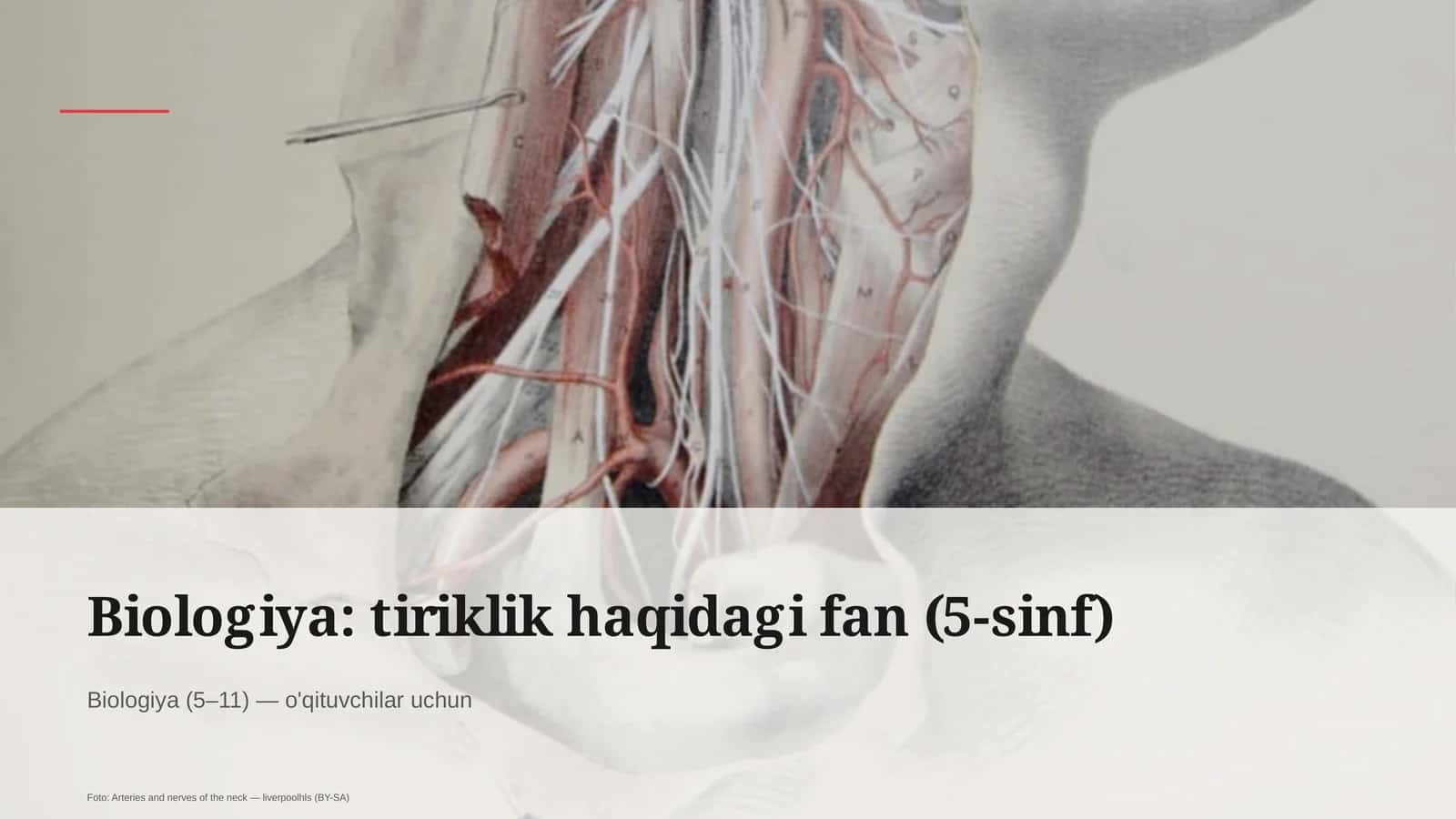 Biologiya: tiriklik haqidagi fan (5-sinf)