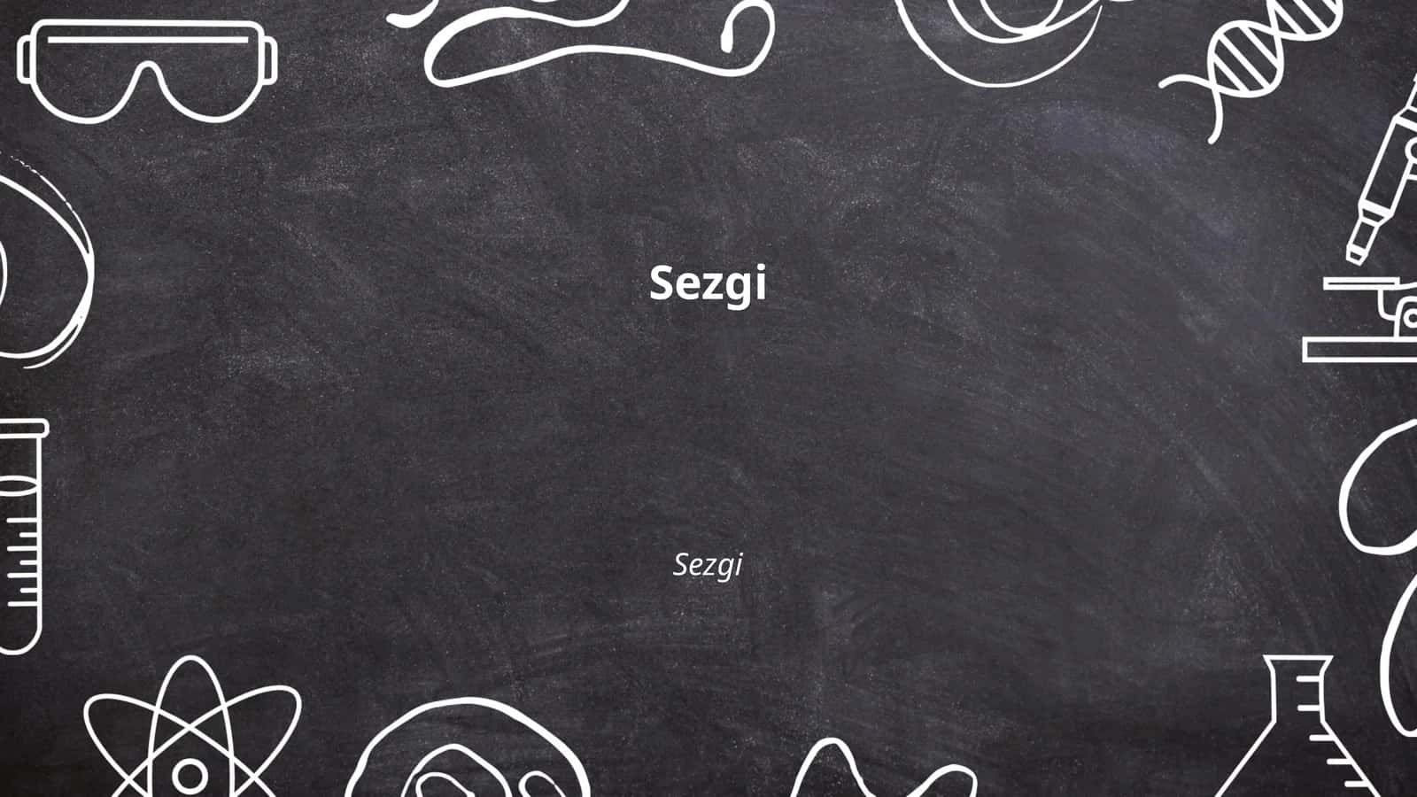 Sezgi