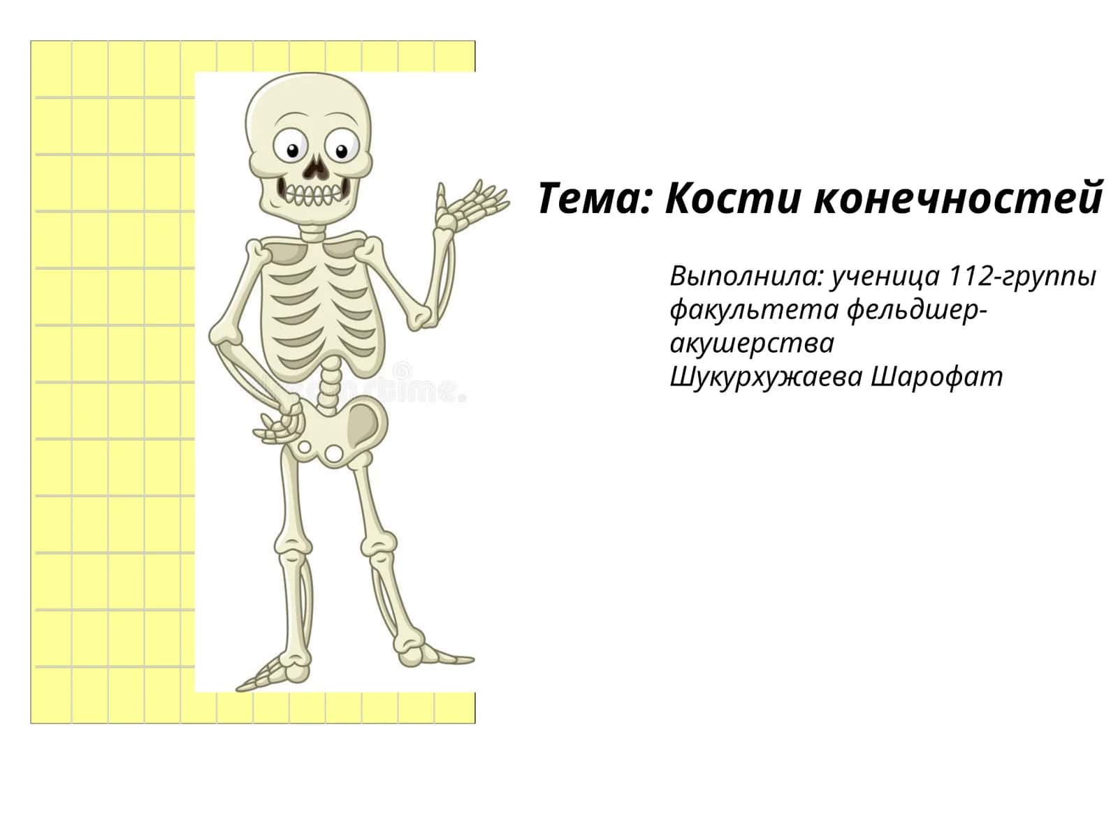 Кости конечностей