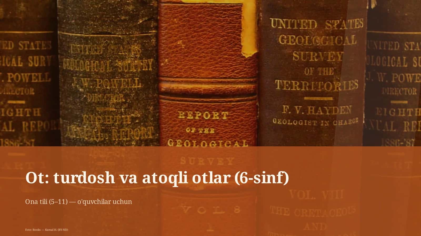 Ot: turdosh va atoqli otlar (6-sinf)