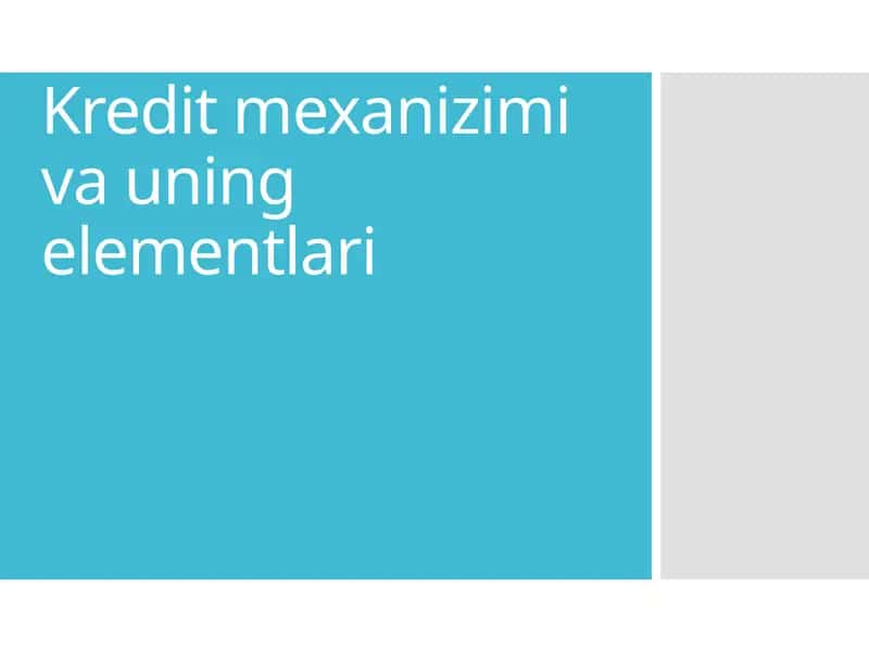Kredit mexanizimi va uning elementlari