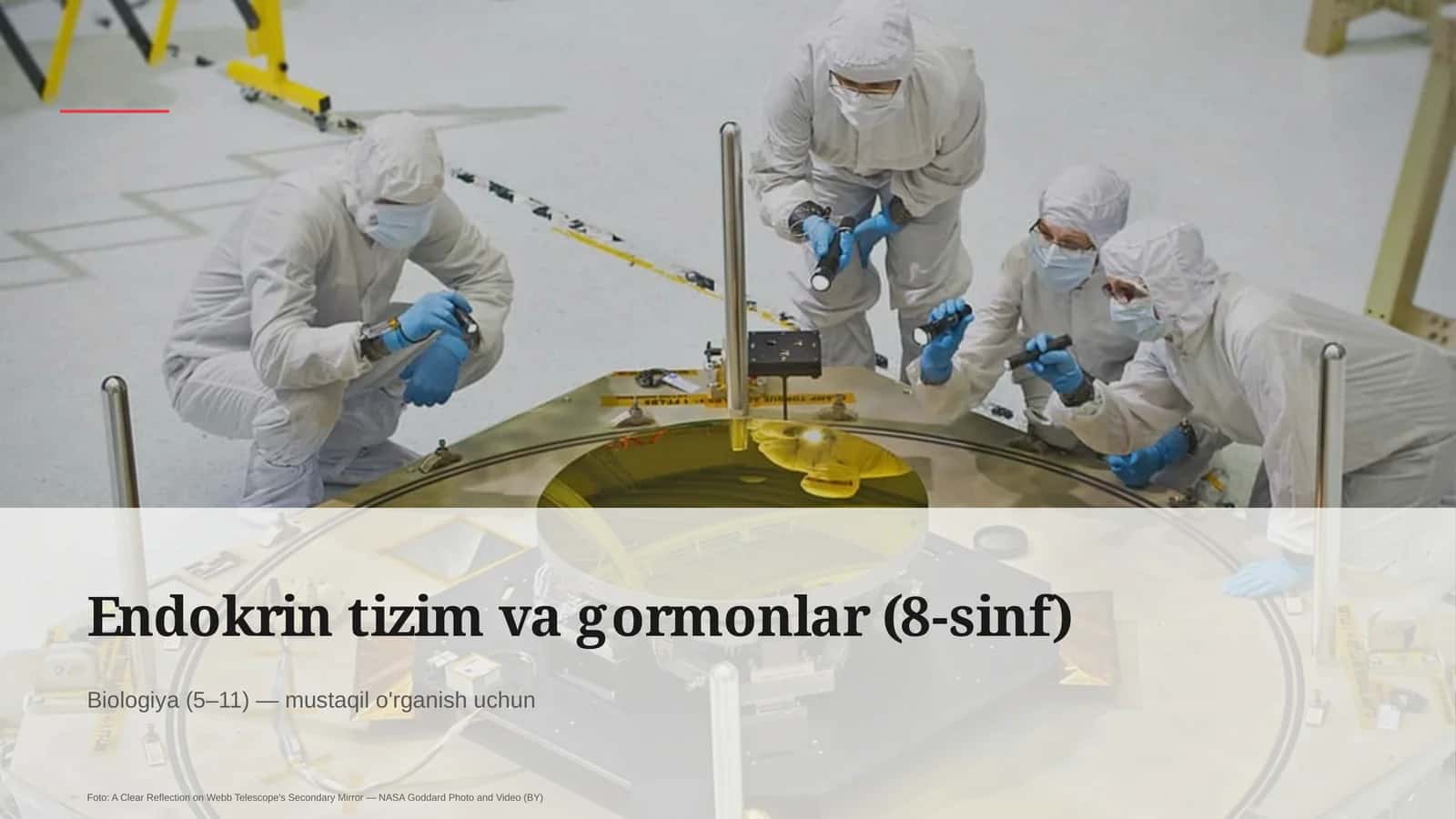 Endokrin tizim va gormonlar (8-sinf)