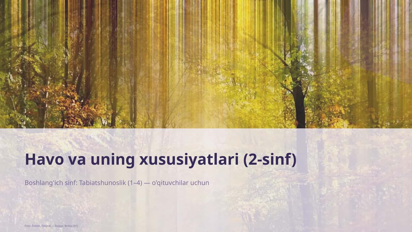 Havo va uning xususiyatlari (2-sinf)