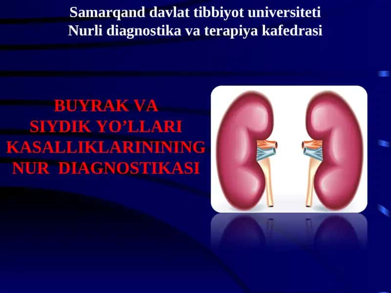 siydiq yo'llari kasalliklarining nur diagnostikasi
