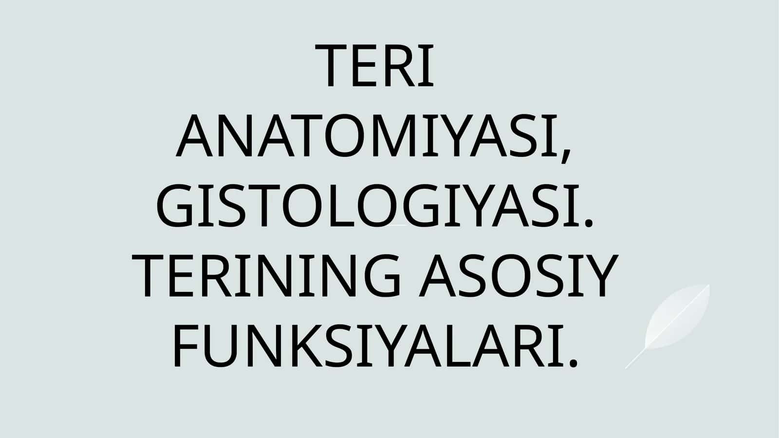 TERI ANATOMIYASI, GISTOLOGIYASI. TERINING ASOSIY FUNKSIYALARI