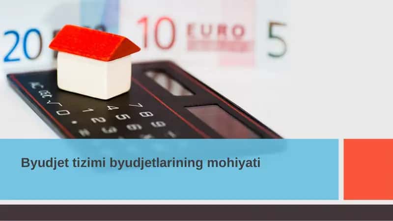 Byudjet tizimi