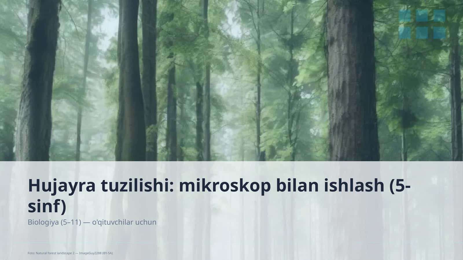 Hujayra tuzilishi: mikroskop bilan ishlash (5-sinf)
