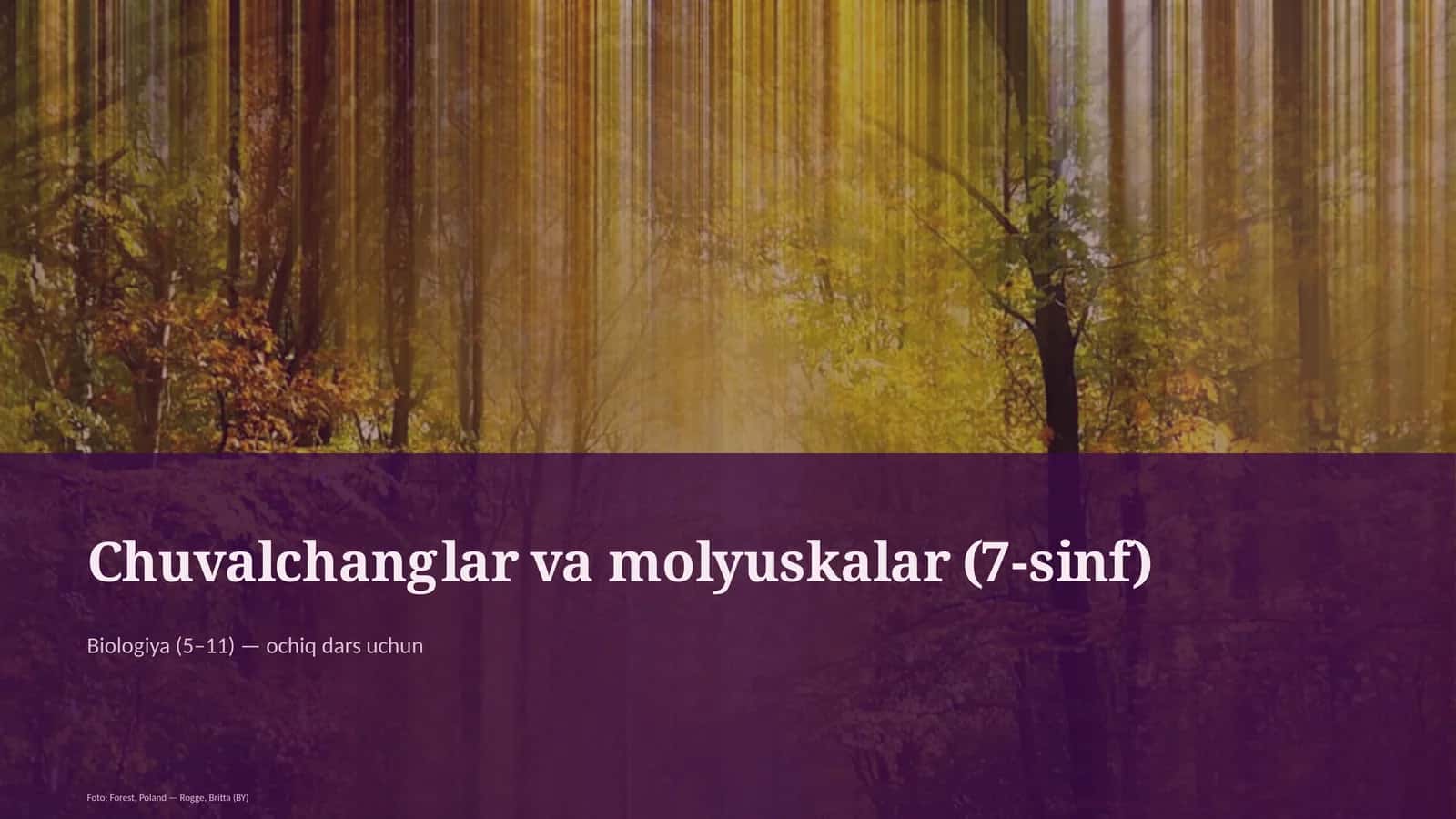 Chuvalchanglar va molyuskalar (7-sinf)