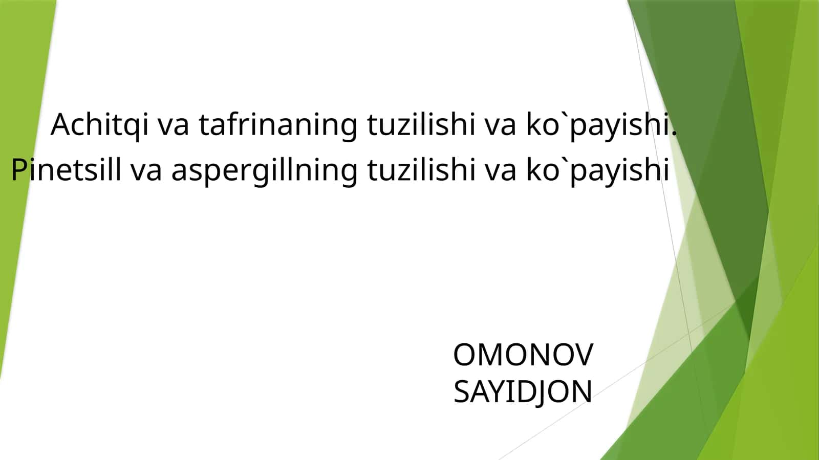 Achitqi zamburug‘i
