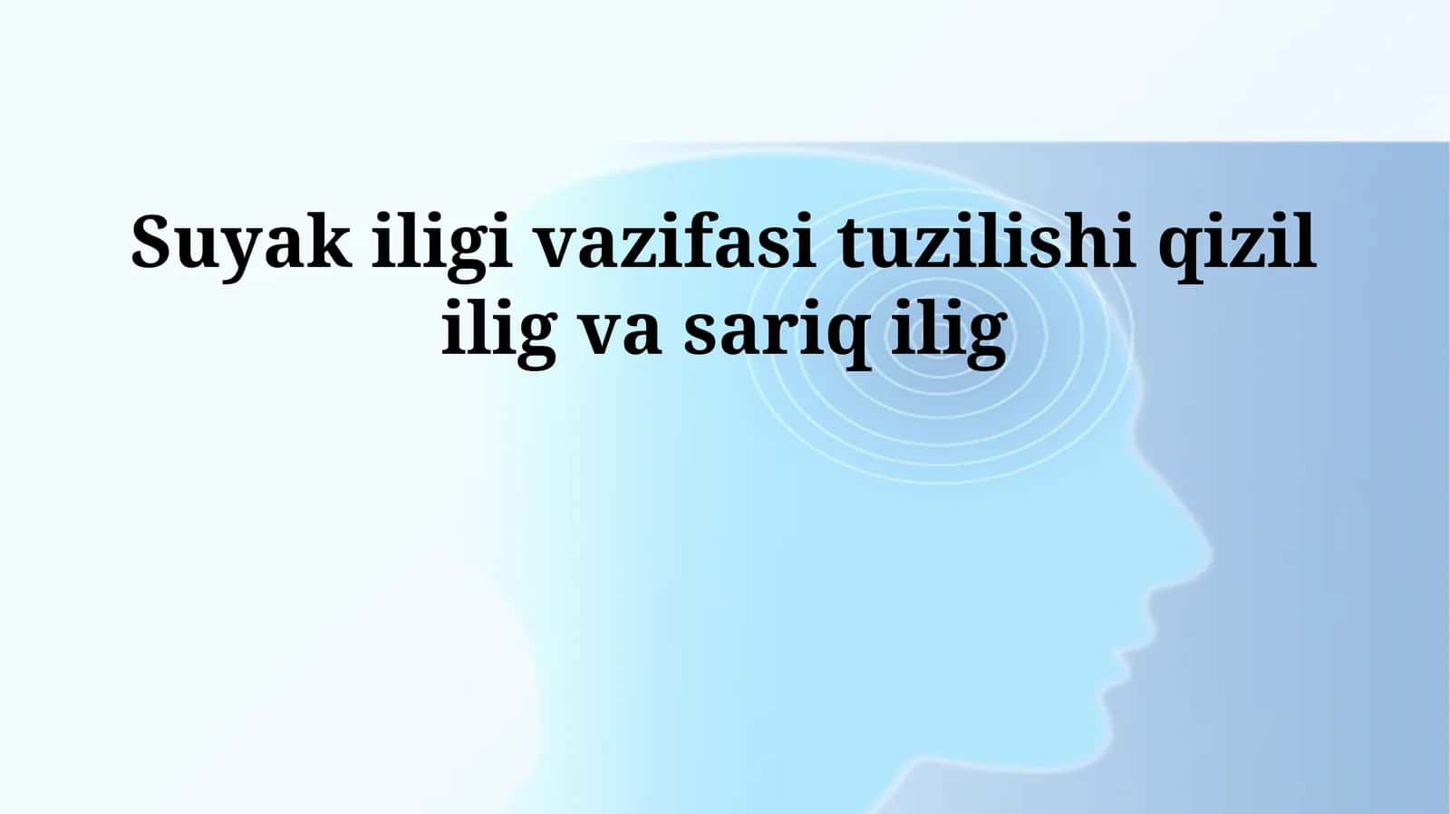 Suyak iligi vazifasi tuzilishi qizil ilig va sariq ilig