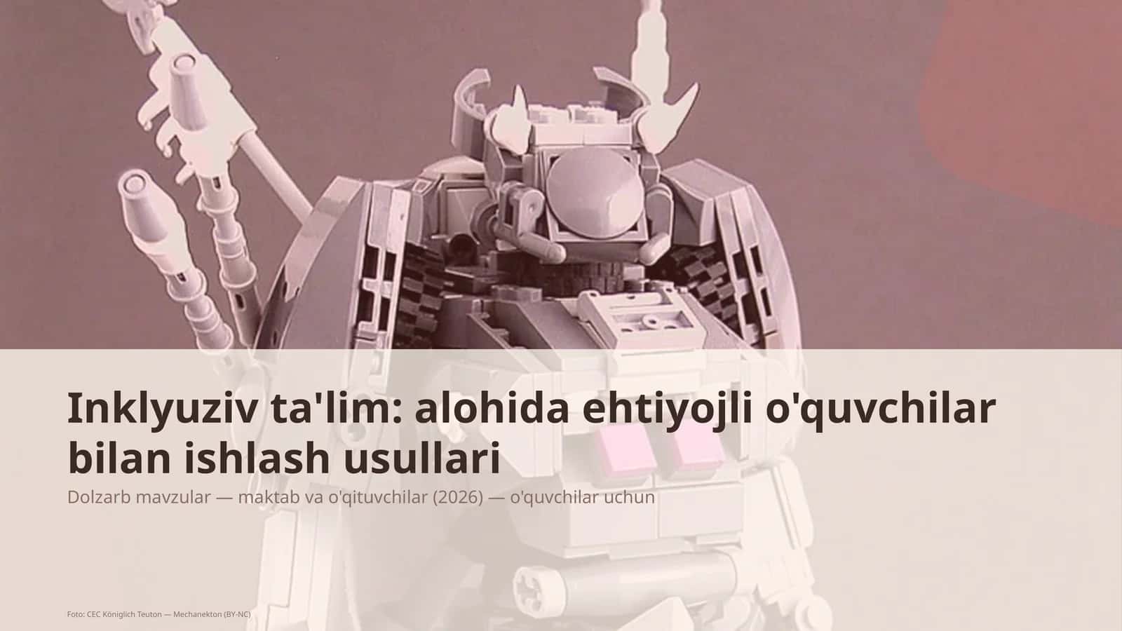 Inklyuziv ta'lim: alohida ehtiyojli o'quvchilar bilan ishlash usullari