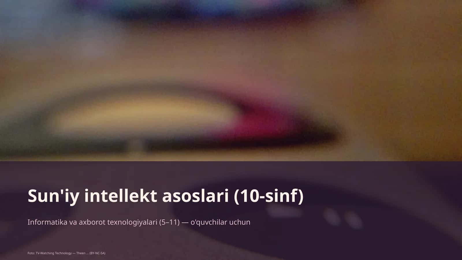 Sun'iy intellekt asoslari (10-sinf)