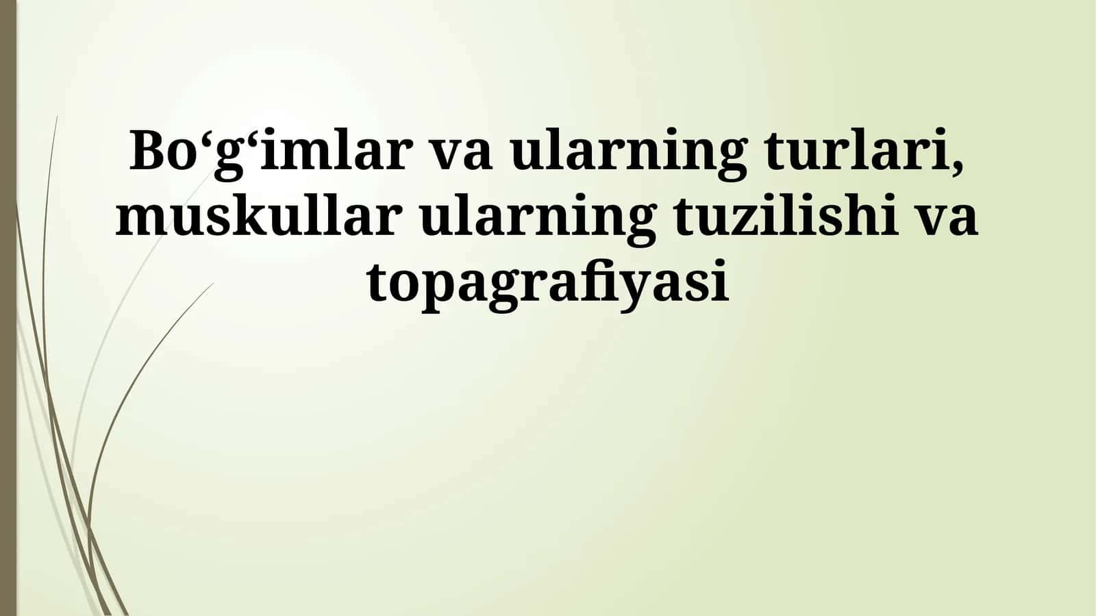 Koʻndalang-targʻil mushaklar