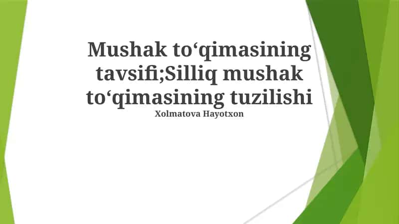 Silliq Mushak Toʻqimasining Tavsifi